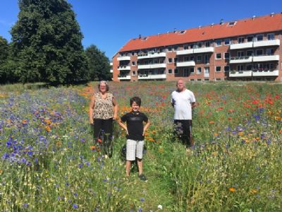 Sommerfoto i lrdags af os 3.